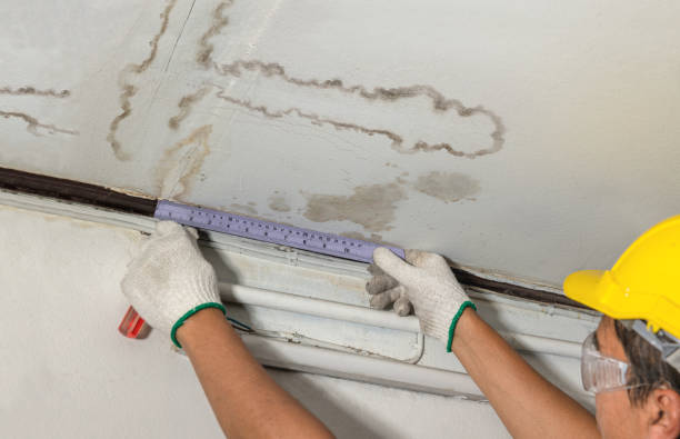 Reliable Mold Remediation contractor in Pelham, NH by Local Water Damage Repair